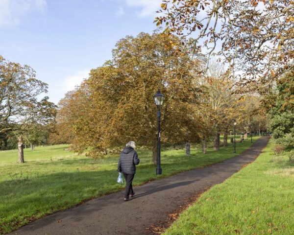 A man walking along path lined with trees